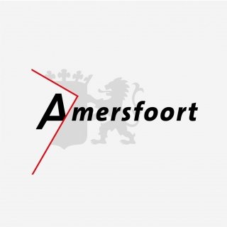 Privacy en DPIA's bij de gemeente Amersfoort